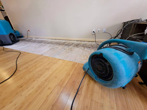 Reliable Basement Flood Cleanup contractor in Sherman, TX by Hirex Water Damage