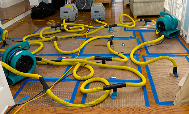 Professional Basement Flood Cleanup technician working in Sherman, TX